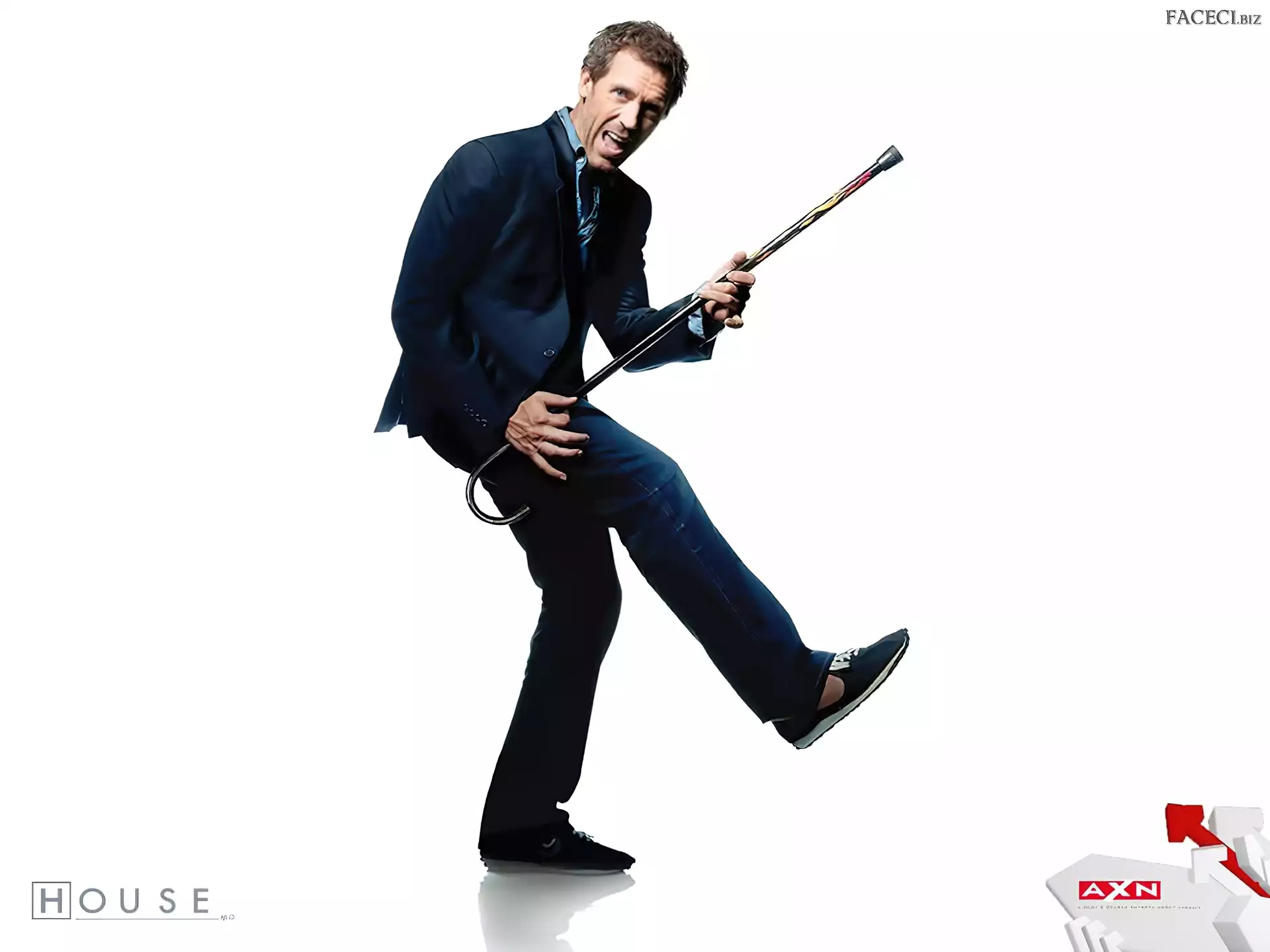 Hugh Laurie, Dr. House